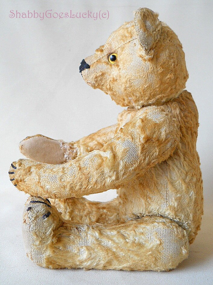 Pictures Of Cock Enlargements Vintage Steiff Teddy Bear